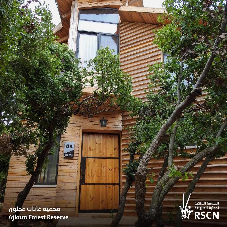 Ajloun Forest Reserve Jarash Exterior photo