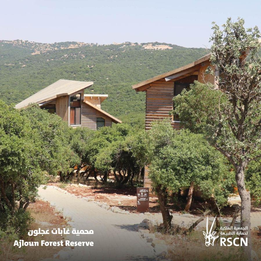 Ajloun Forest Reserve Jarash Exterior photo