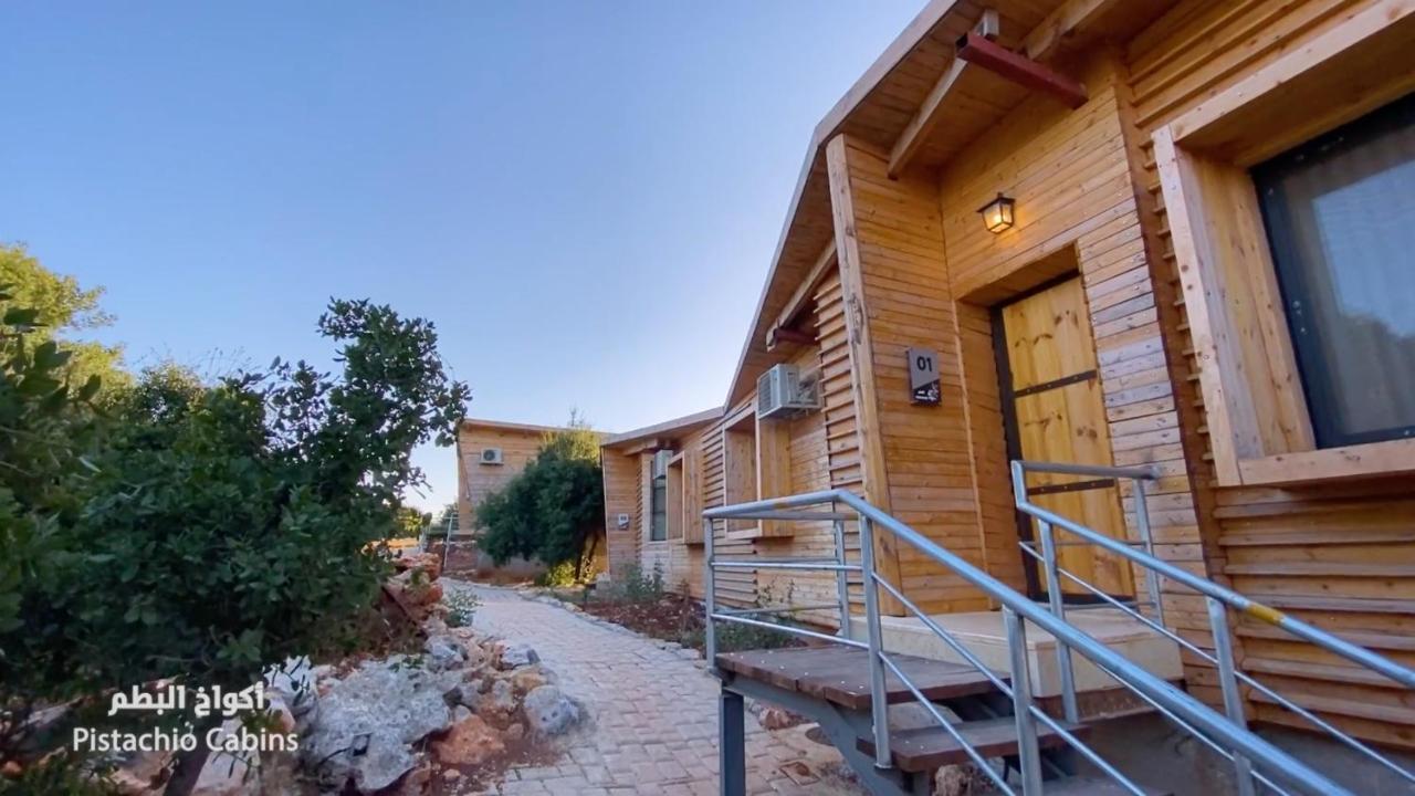 Ajloun Forest Reserve Jarash Exterior photo
