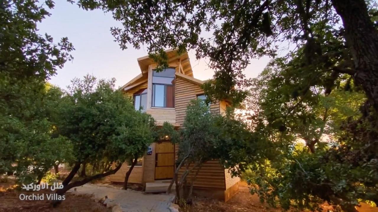 Ajloun Forest Reserve Jarash Exterior photo