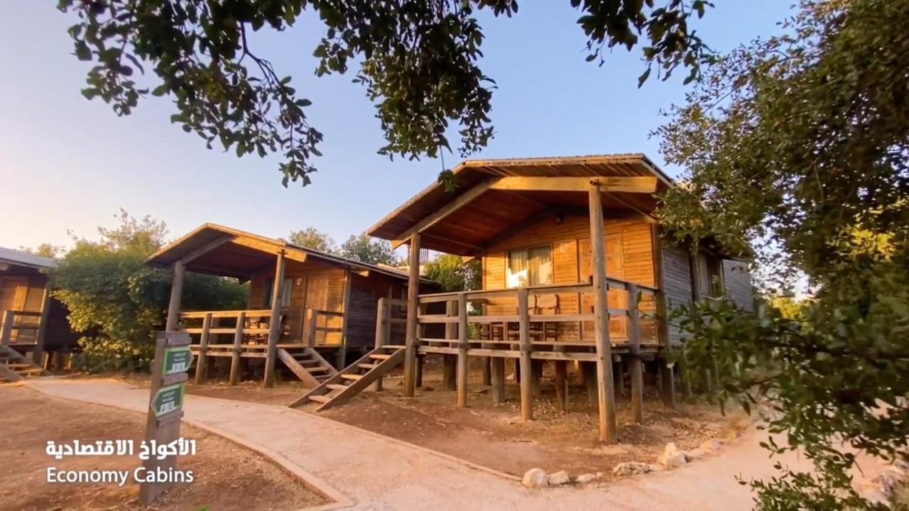 Ajloun Forest Reserve Jarash Exterior photo