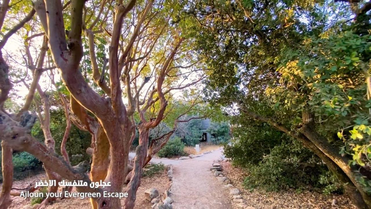 Ajloun Forest Reserve Jarash Exterior photo