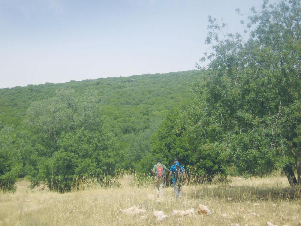 Ajloun Forest Reserve Jarash Exterior photo