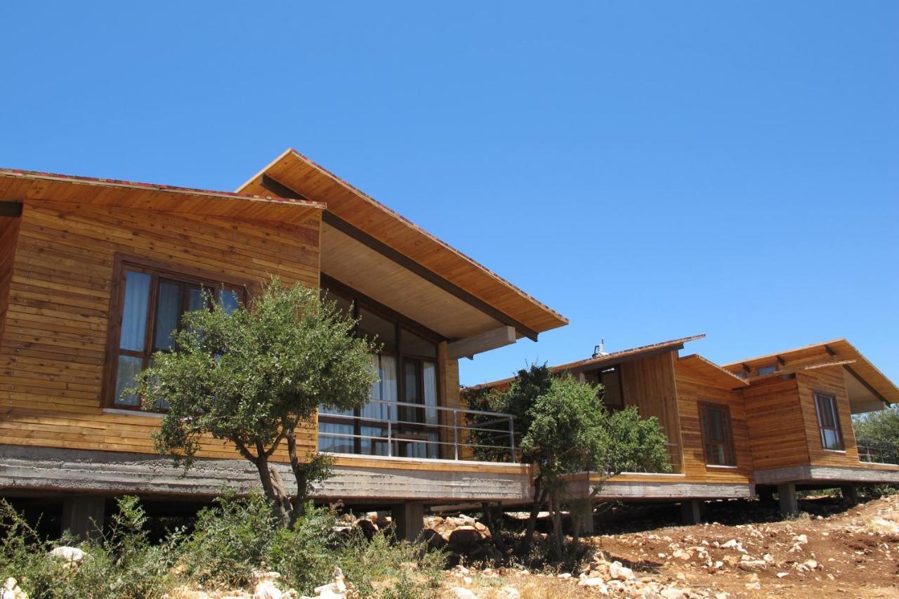 Ajloun Forest Reserve Jarash Exterior photo