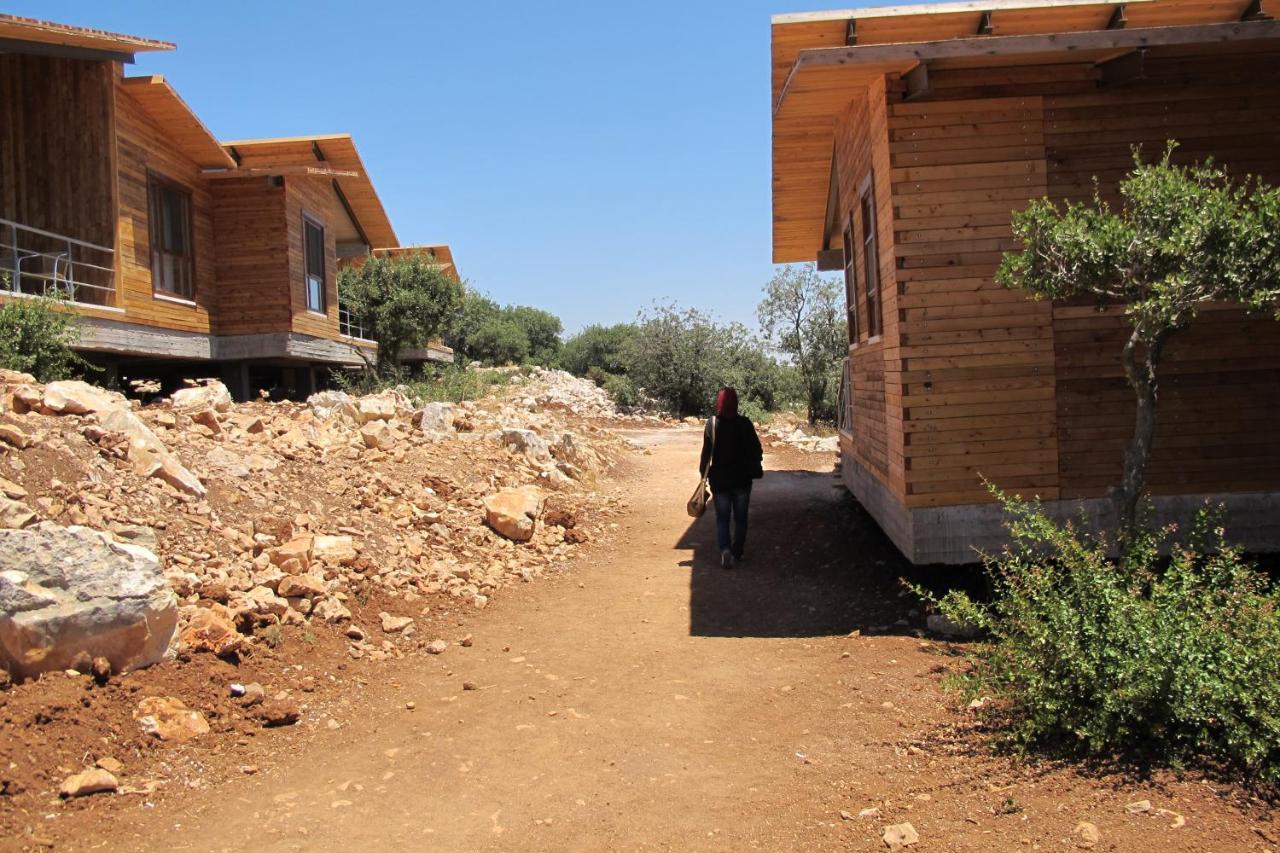 Ajloun Forest Reserve Jarash Exterior photo