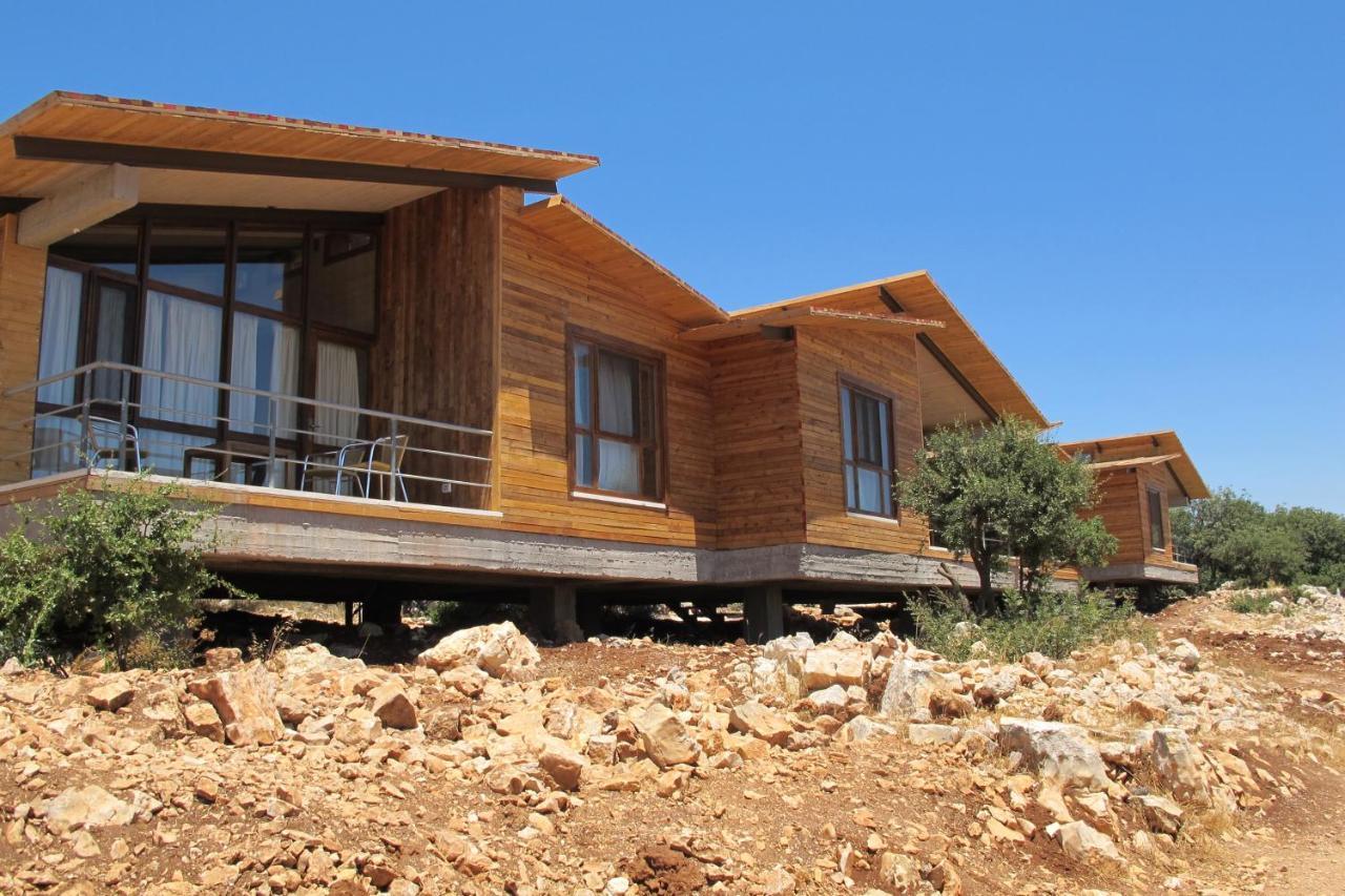 Ajloun Forest Reserve Jarash Exterior photo