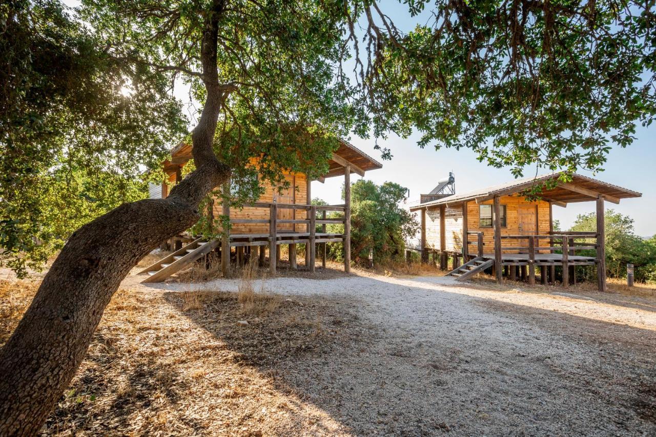 Ajloun Forest Reserve Jarash Exterior photo